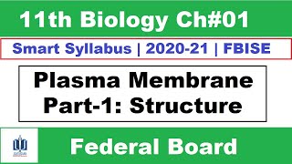 Structure of Plasma Membrane  Class 11 Biology Ch1  Ilmi Stars Academy [upl. by Noseyt]