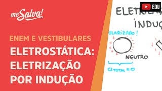 Me Salva ELT08  Eletrostática  Eletrização por Indução [upl. by Prent]