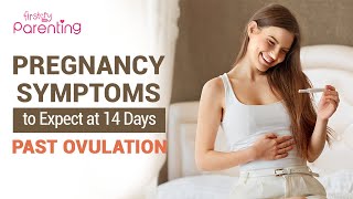 14 Days Past Ovulation  Pregnancy Symptoms [upl. by Paget]