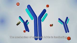 Unraveling the Power of AntibodyOligonucleotide Conjugates [upl. by Mellitz]