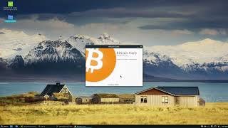 How To Install And Enable Bitcoin Core Wallet On Linux [upl. by Ollehto]