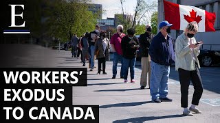 Why Are Millions Of American Workers Leaving To Canada [upl. by Arlon]