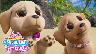 BARBIE Y LOS TIERNOS OJITOS DE PERRITO 🐶💕 Barbie En Español Latino [upl. by Byram]