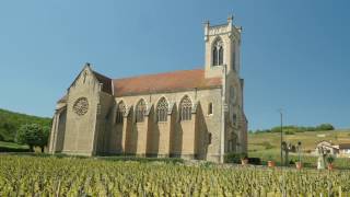 The Wines of Burgundy [upl. by Rednav327]