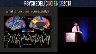 Brain Imaging Studies with Psilocybin and MDMA  Robin CarhartHarris [upl. by Fredenburg736]