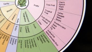 UC Davis Newswatch Wine Wheel [upl. by Neitsirhc]