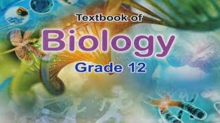 Gene expression Transcription 2 xii Biology NBF [upl. by Adihaj]