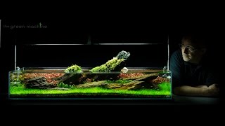 Aquarium Aquascape Tutorial Guide Crimson Sky by James Findley amp The Green Machine [upl. by Beau415]