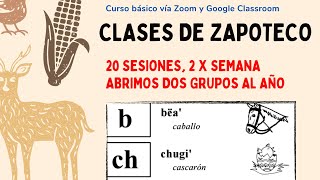 CLASES DE ZAPOTECO [upl. by Winifield]