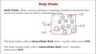 Body Fluids and its Types Intracellular and extracellular fluids serous and transcellular fluids [upl. by Lozar]