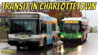 Transit in Charlottetown June 2023 [upl. by Enomahs809]