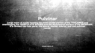 Medical vocabulary What does Pulvinar mean [upl. by Etnoel274]