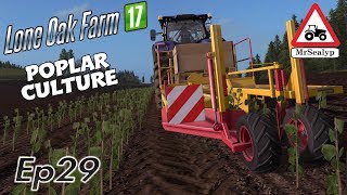 Lone Oak Farm 17 Ep 29 Poplar Culture Farming Simulator 17 PS4 Lets PlayRole Play [upl. by Ahsitak]