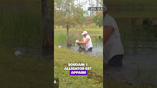 Homme courageux sauve son chien dune attaque dalligator  shorts [upl. by Amikat]