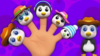 Pingouin doigt famille  comptines  doigt famille chanson  Penguin Finger Family In French [upl. by Rahsab449]