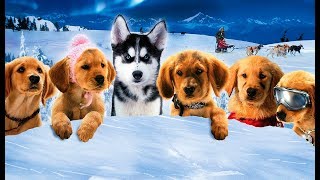 SNOW BUDDIES Cachorros en la Nieve Trailer español latino [upl. by Grayson610]