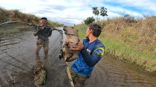 PESCARIA DE PENEIRÃO PEGAMOS A FILÓ CAPIVARA NO PENEIRÃO SO VENDO PARA ACREDITAR [upl. by Eelirol]