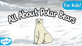 All about Polar Bears for Kids  Arctic Animals [upl. by Starling405]