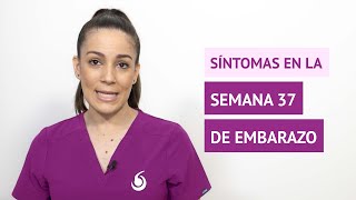 ¿Cuáles son los síntomas habituales en la semana 37 de embarazo [upl. by Noitsuj]