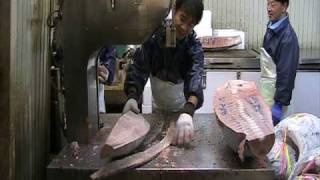 Tsukiji fish market tokyo  bandsaw cutting of Tuna from morning auction [upl. by Ahsoyem]