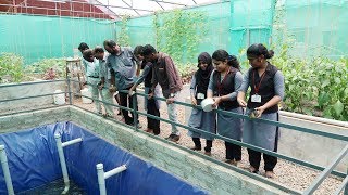 Aquaponics in Women ITI  വനിത ITI ലെ മത്സ്യ കൃഷി Kozhikod [upl. by Smada705]