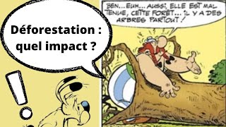 Causes et conséquences de la déforestation sur le changement climatique [upl. by Anekam148]