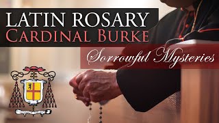 Pray the Rosary in Latin with Cardinal Burke Sorrowful Mysteries [upl. by Alexander845]