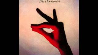 Die Hornissen  Pale Blue Eyes The Velvet Underground Cover [upl. by Keelin]