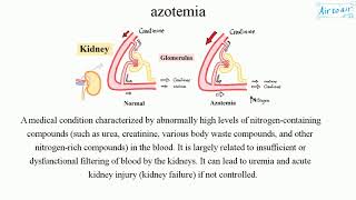 azotemia [upl. by Alidus]