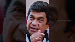 కృతి సనన్ ని చూడగానే రెచ్చిపోయిన బ్రహ్మి 😂  Brahmanandam  Dohchay  NagaChaitanya  YTShorts [upl. by Nner]