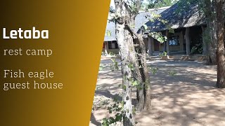 Fish eagle guest house  Letaba rest camp  Kruger national park [upl. by Hill]