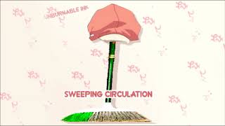 Sweeping Circulation [upl. by Staford758]