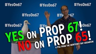 California voters YES on Prop 67—and NO on Prop 65—for a plasticfree ocean [upl. by Geldens]