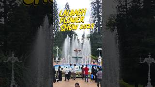 Discover the Beauty of Lalbagh Gardens Flower Show 2024 viralvideo shorts ytshorts [upl. by Tager]