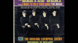 The Buggs  I Want To Hold Your Hand Beatles knockoff [upl. by Ordnagela]