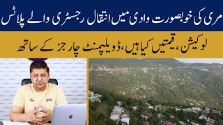 Umar Chalets Murree  Plots in Mountain Hills  Best for Investment amp Second Vacation Home  2024 [upl. by Ecnarwal205]