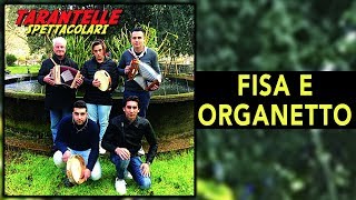 Domenico Sità Damiano Bevilacqua Alessandro Filippone  Fisa e organetto [upl. by Ordep]