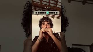 How to play quotThe Riverquot on Diatonic Harmonica Bruce Springsteen [upl. by Nilkcaj760]