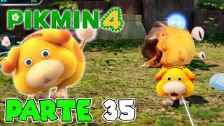 ¡OCHIN DESATA TODO SU PODER  PARTE 35  PIKMIN 4 [upl. by Naujik]