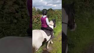 CnG Equine Blue out hacking [upl. by Anad]