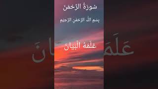 Surah Al Rahman🤲😇youtubeshortssurahalrahman [upl. by Edi]