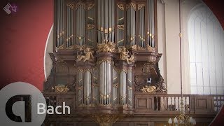 Bach Cantate BWV 4 amp BWV 80  Gesualdo Consort  Musica Amphion  Live Concert HD [upl. by Yecrad]