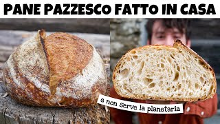 LA RICETTA DEL PANE FATTO IN CASA PIÙ BUONO E COMODO DA REALIZZARE – è facile e pieno di bolle  DZ [upl. by Giark556]