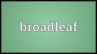 Broadleaf Meaning [upl. by Ymmot]