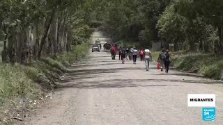 ENVIVO  ¡URGENTE Miles de migrantes intentan pasar a la fuerza a Estados Unidos [upl. by Granny]