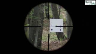 SchmidtampBender 320x50 PM IILPMTCLT reticle Police subtensions [upl. by Ella626]