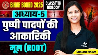 Root L1  Morphology of Flowering Plants  Class 12th Biology Chapter 5 Bihar Board [upl. by Guinna]