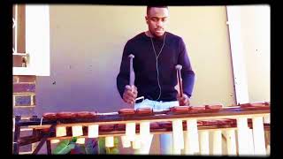 FIREBOY DML  VIBRATION MARIMBA COVER 🇳🇬🇿🇼 ZIMBABWEAN MUSICIAN [upl. by Tessler]