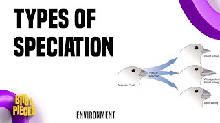 Types of speciation  Allopatric sympatric Parapatric Peripatric in Tamil II UPSC II TNPSC II [upl. by Eehtomit]