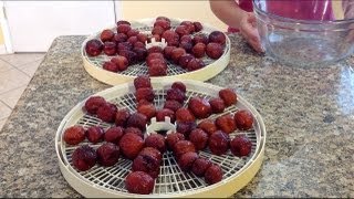 Dried FruitJujube FruitHow To Make Dried FruitHow To Dehydrate FruitFoodMeatVietnamese Food [upl. by Iviv30]